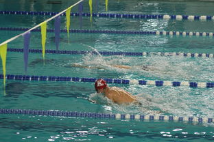 开云官方-国际游泳精英赛中国队多人破纪录，国际游泳冠军系列赛