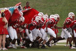 kaiyun登录入口-青少年体育参与行为及其影响机制探讨，青少年体育参与行为及其影响机制探讨论文