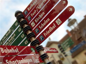 开云官方-高校运动损伤防控技术研究与推广，运动损伤防护培训班