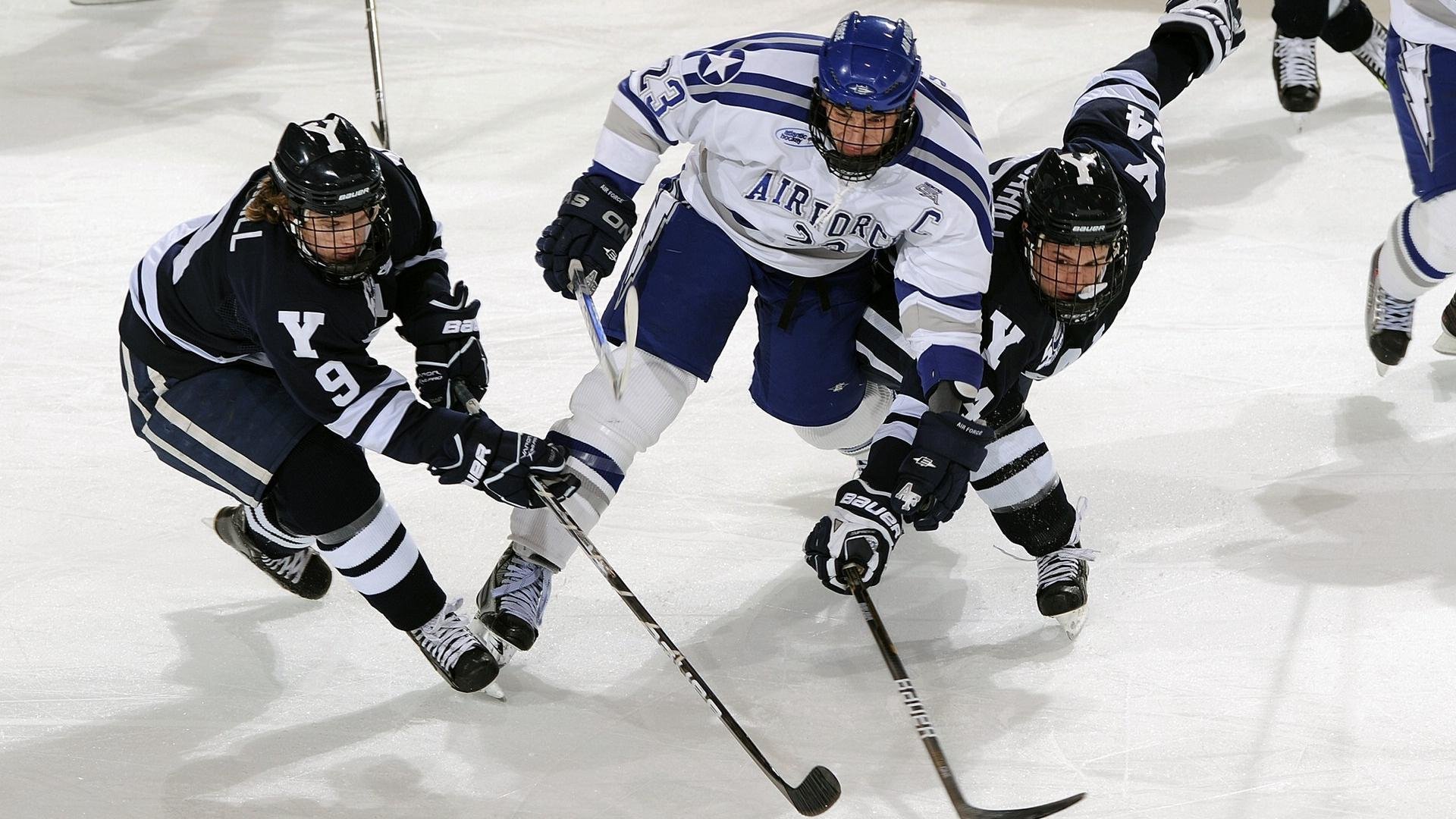 数字化裁判员培训平台获得行业高度认可,提升裁判水平,裁判认证系统